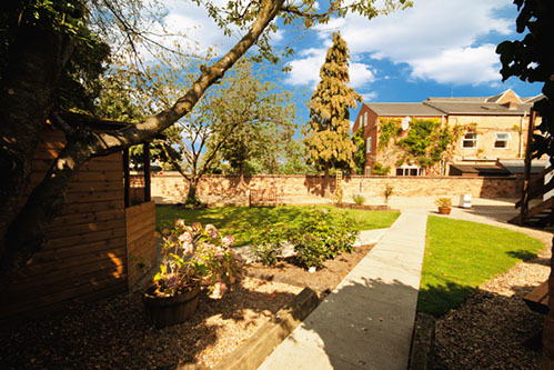 garden walkway view